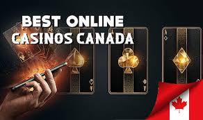 Discover the Best Online Casinos for an Unforgettable Gaming Experience